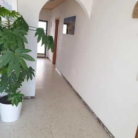 Appartement Shalom Vip *