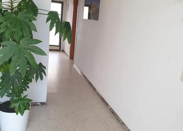 Appartement Shalom Vip *